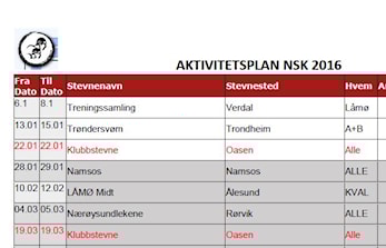 Aktivitetsplan 2017